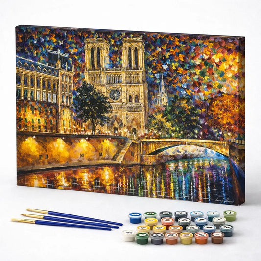 Notre Dame River Lights