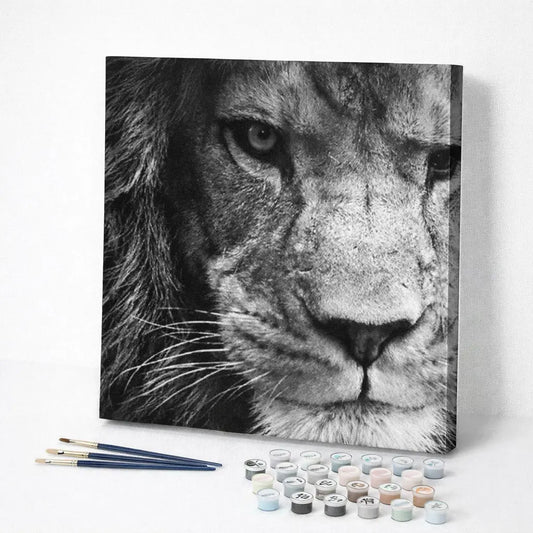 Black and White Lion Gaze